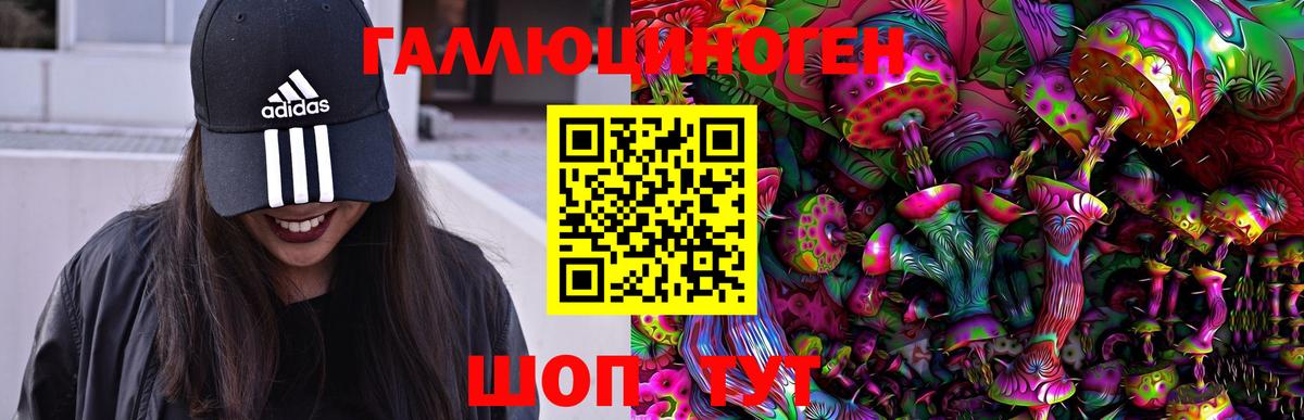 Псилоцибиновые грибы Psilocybine cubensis  Вход с VPN  Похвистнево 